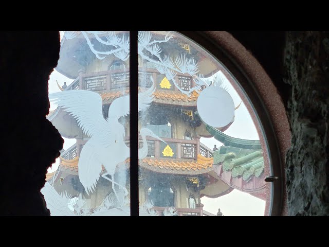 Tranquility In the Midst of the City in 3D VR 180