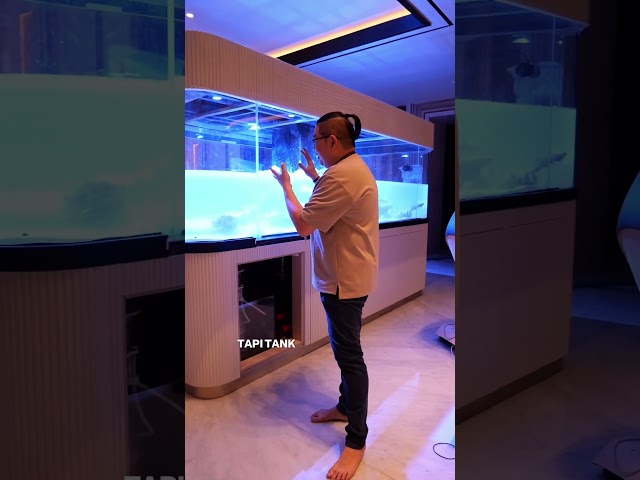 ✨ PROJECT MARINE TANK PALING ESTETIK! ✨ Javareef lagi gaskeun bikin marine tank super gede