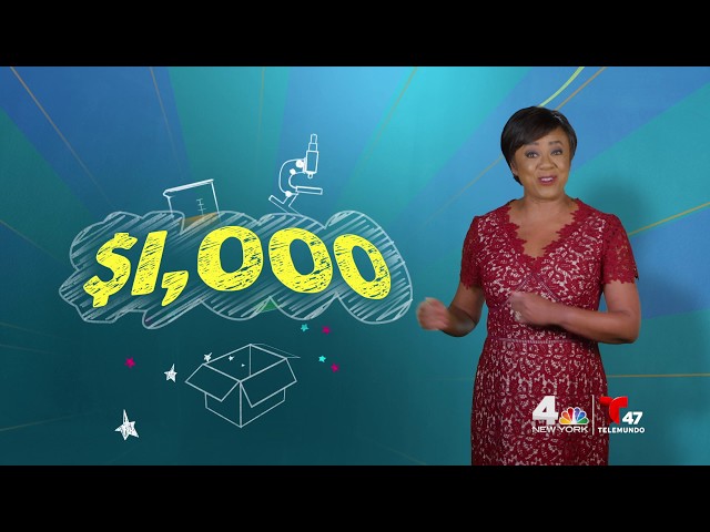 News 4 New York: "NBC 4 / T47 Weather Kids: Star Teacher Award 2019 Nominations" promo