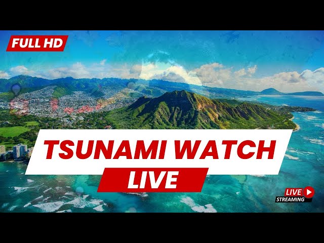 Hawaii Tsunami Live: Real-time HD Camera Feeds from the Islands