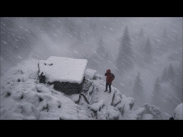 I Found an Abandoned Cabin During a Brutal Blizzard