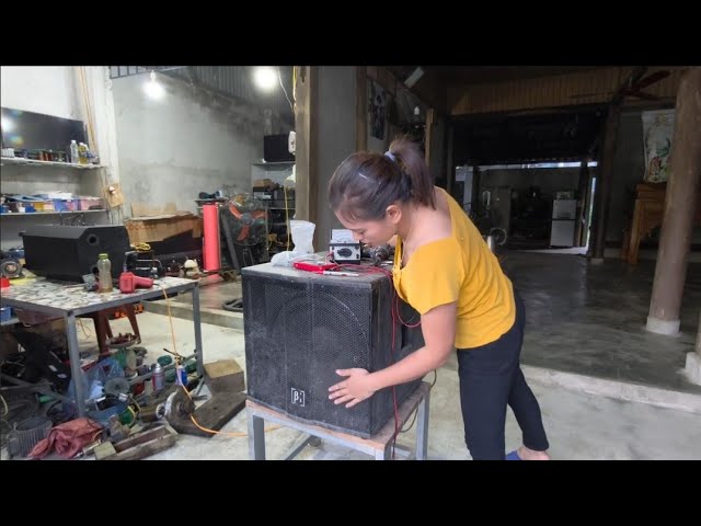 Repairing a subwoofer with a short-circuited power transistor. 