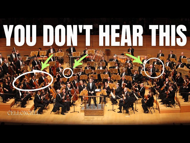 What Musicians Hear (That You Don't)