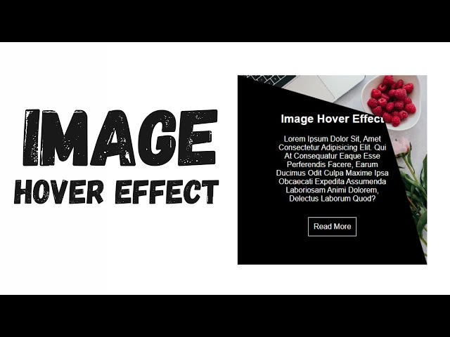 Modern Image Hover Techniques | CSS Only