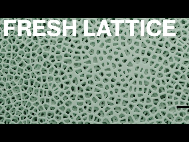 Fresh Lattice: Using Houdini for Additive Manufacturing | Entagma & Bismuth Consultancy | HIVEalt
