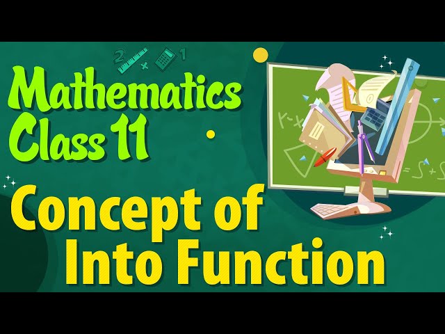Concept of into Function - Set Relations and Functions - Class 11 Mathematics