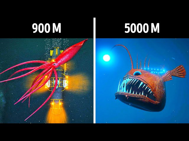 Viaje en 3D a las profundidades del océano