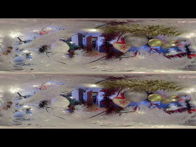 Macro 3D 360 shooted with my #AntVR360 v2.9 device with #Qoocam 360 camera