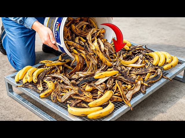 Never Throw Away Banana Peels😱!! Collect Them and Turn Them Into Money!