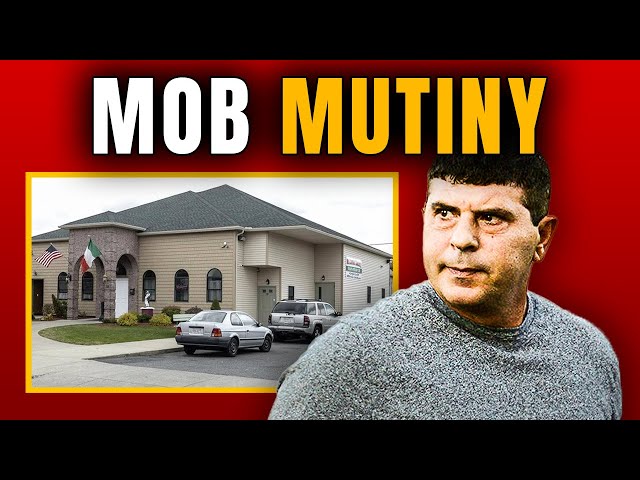 Family Members Battle For Control In Springfield Mob Mutiny