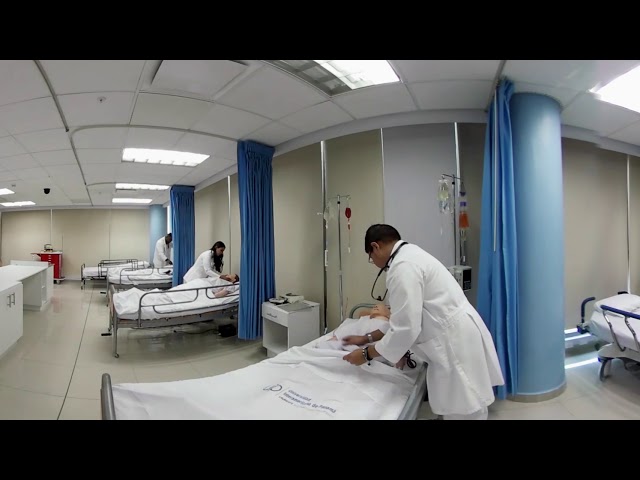 FACULTAD DE MEDICINA - UIP - VR 360