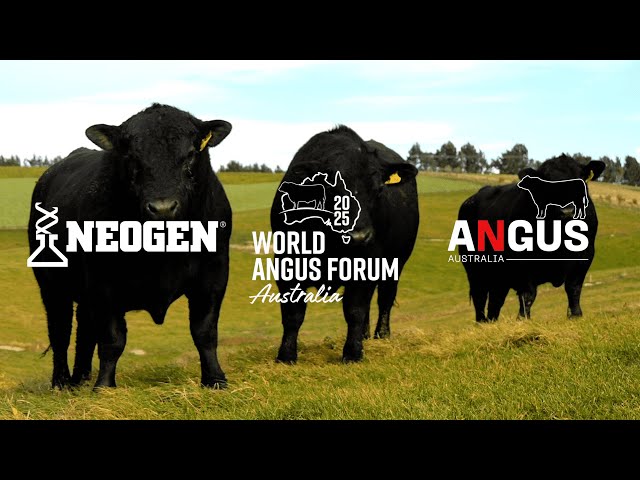 Sing Along with Seonaid McLaren: Join the World Angus Forum 2025 in Australia!
