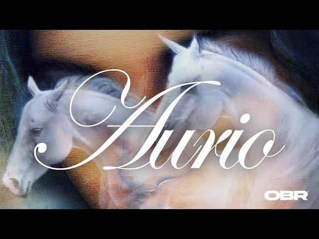 Saske, Danae - AURIO (prod. by Fred Irie) (Official Audio)
