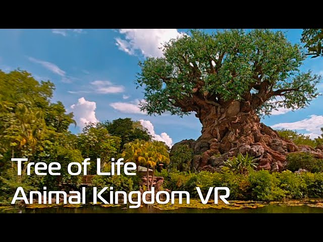 Tree of Life in 180VR 3D HDR | Disney's Animal Kingdom | Slam XCam