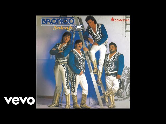 Bronco - LIBROS TONTOS (Cover Audio)