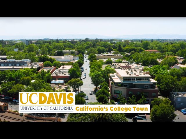 California's College Town (UC Davis) | The College Tour