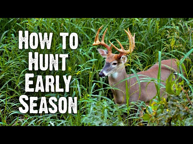 Early Season Hunting Strategies - Understand Buck Behavior (833)