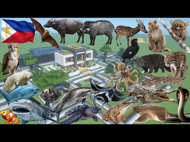 How To Make a Philippine Animal Farm in Minecraft PE