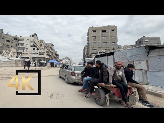Nuevo tour en Gaza 🇵🇸 Calle Al-Jala | Ciudad de Gaza