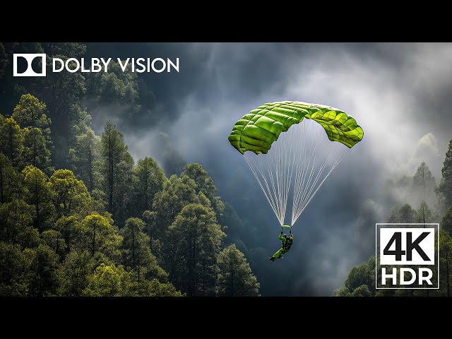 The Most REAL 4K HDR Video | Dolby Vision in 60FPS Nature
