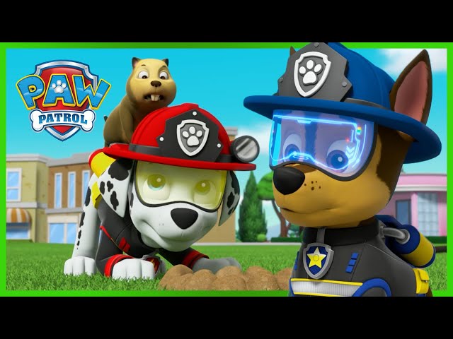 Chase and Marshall Ultimate Rescues 🚨 - PAW Patrol - Cartoons for Kids