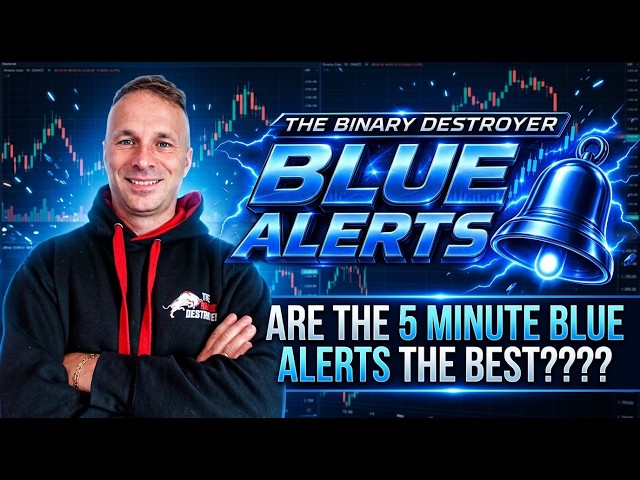 What Happens If You Trade Every Blue Alerts for 30 Days?