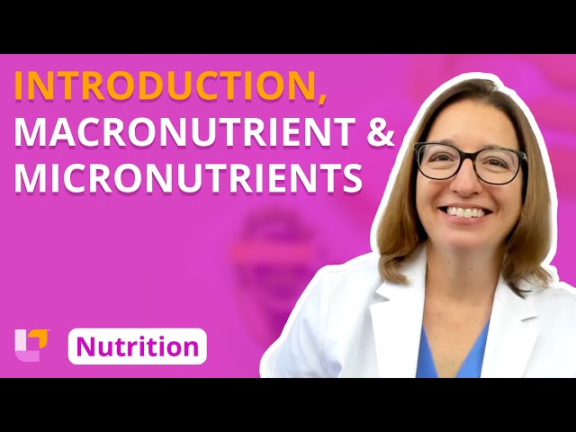 Introduction, Overview of Nutrients - Nutrition Essentials | @LevelUpRN