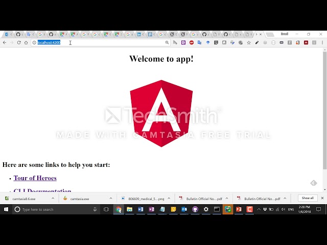 How to use Angular CLI with a Node.js App