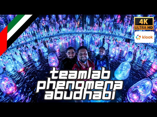 teamLab Phenomena Abu Dhabi: INSIDE the World's Largest Immersive Art Experience (2025 Guide) #UAE