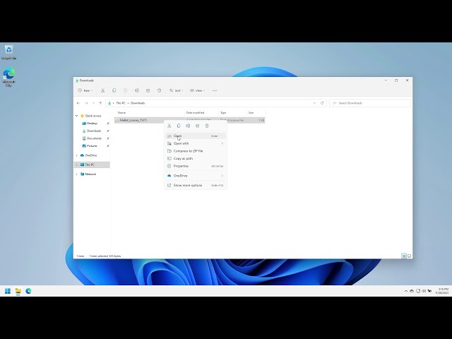 How do I install my FileBot License File?