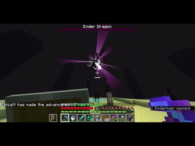 I DEFEATED the Enderdragon in Minecraft! #minecraft #java #gameplay