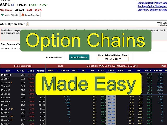 How to use an Option Chain - Options Trading Education