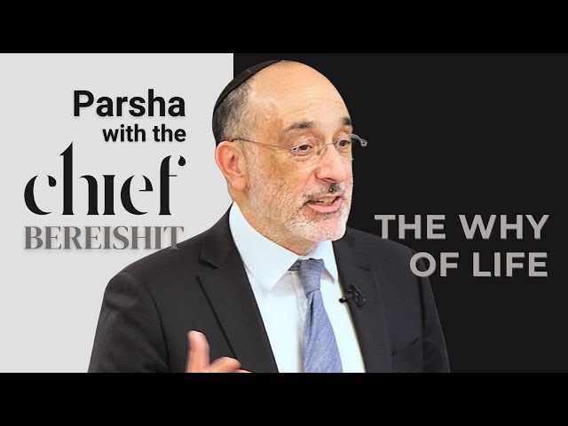 The Purpose of Life | Parsha with the Chief: Bereishit