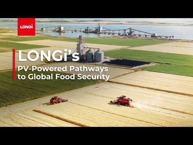 LONGi's PV-Powered Pathways to Global Food Security