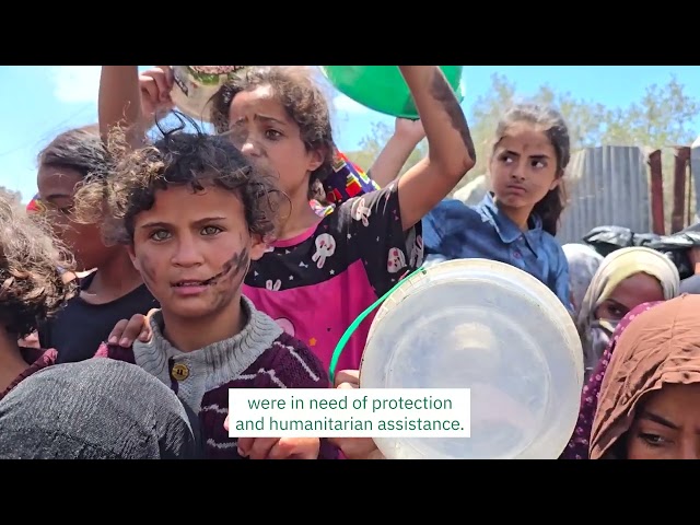 World Humanitarian Day: The Crisis No One Is Talking About