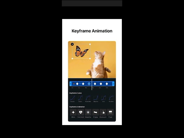 Editing App Overview with HK Tech