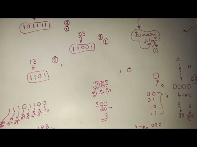 What are binary numbers?