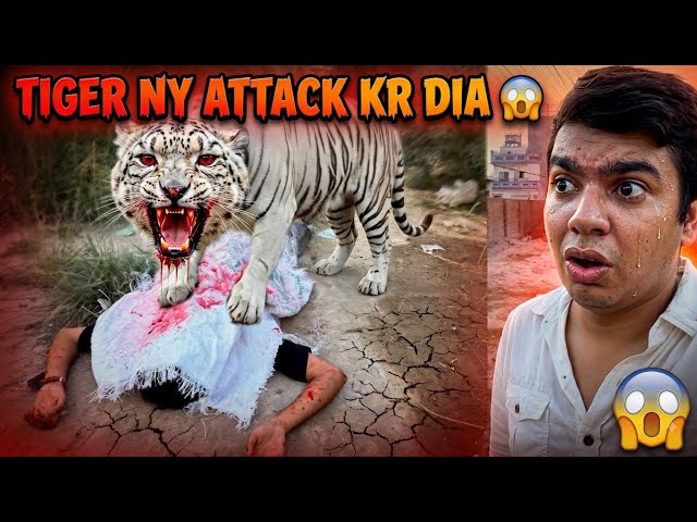 White Tiger Ny Mini Zoo Mein Attack Krdia😱 - Mini Zoo 😰