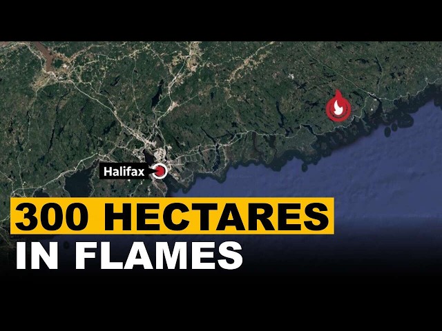 Nova Scotia Evacuation Ordered As Mooseland Road Wildfire Explodes