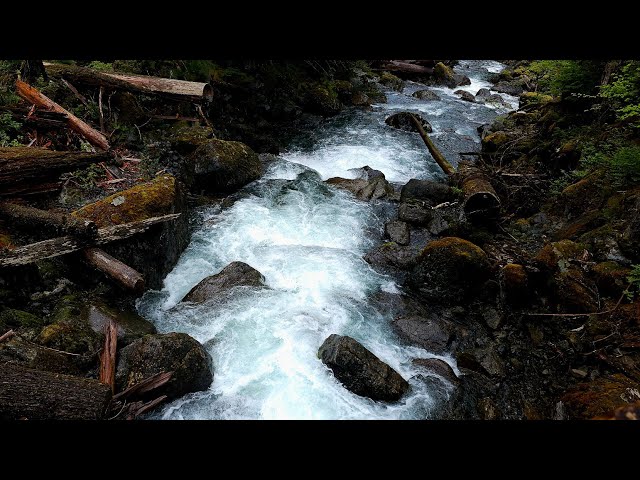 💧 West Fork Foss Trail | From Waterfall Fury to Alpine Peace