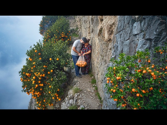 Harvesting Oranges on a Dangerous 45° Cliff — A 4 km Mountain Journey