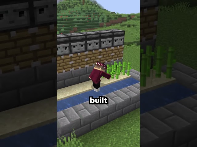 This Player Controls the Entire Public SMP