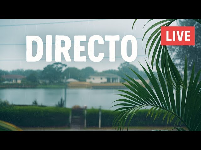 ¿Sabes qué es un Bayou?