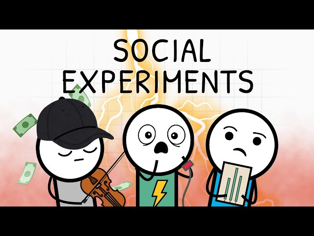 The Most Shocking Social Experiments of All Time