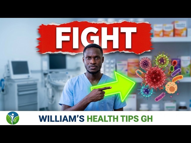 The Immune System Explained: How Your Body Fights Diseases