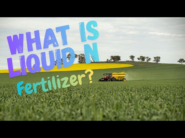 Liquid Nitrogen Fertilizer Explained — What Every Grower Needs to Know