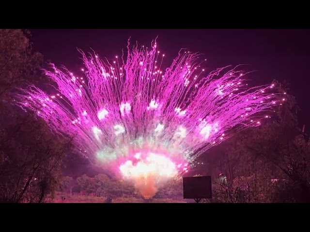 2024 DISPLAY CAKE NO.7