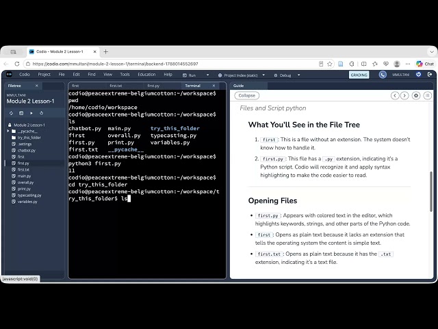 Files and Script Python