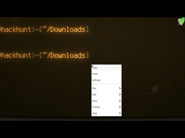 🕹️ Bring Back the 90s to Your Terminal | Cool Retro Terminal on Kali Linux