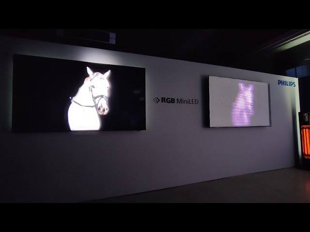 Philips TV 2026: RGB MiniLED 85MLED981 - Complete Panel vs. Backlight only